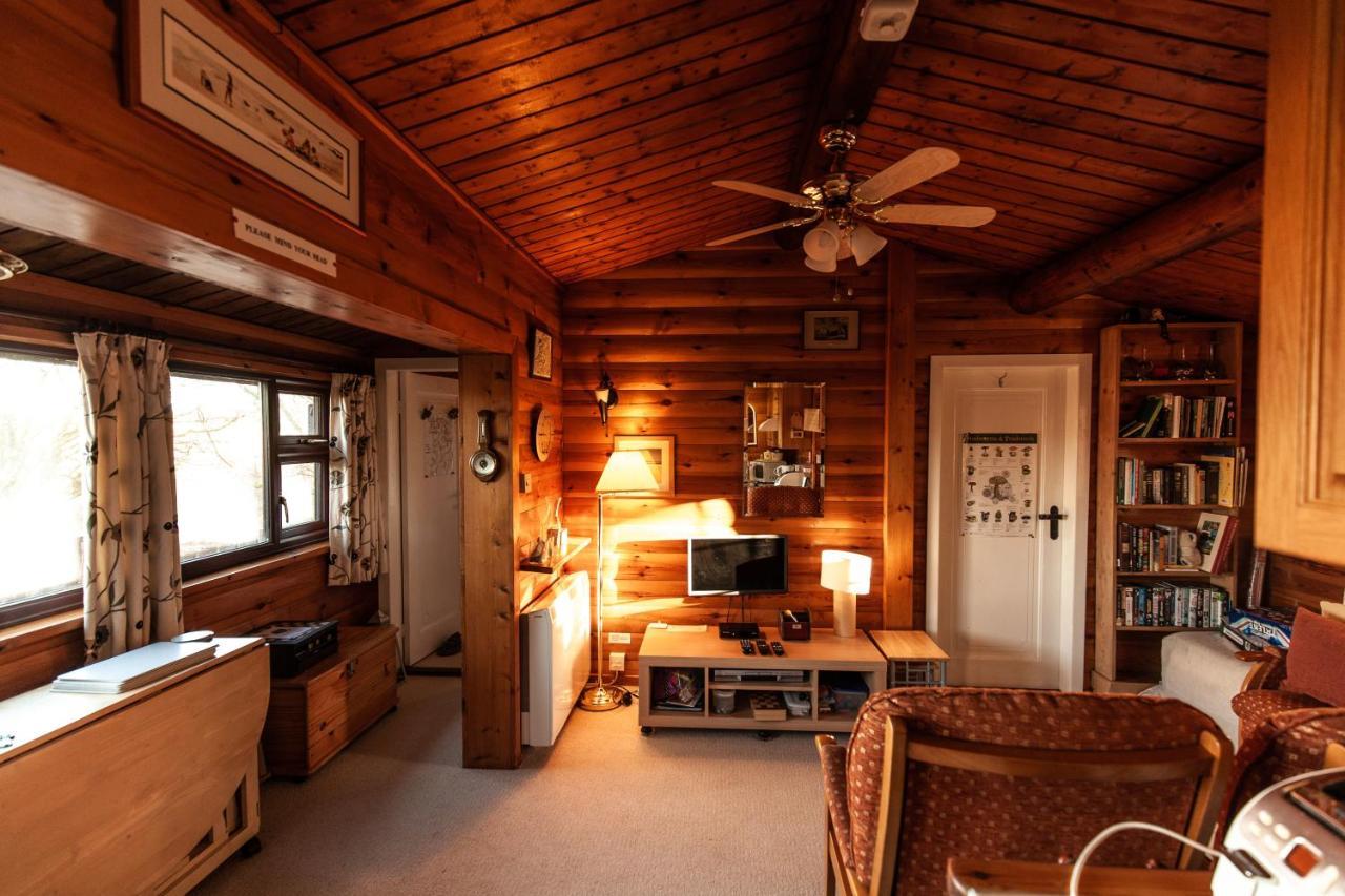 Rustic Log Cabin In Snowdonia By Seren Short Stays Trawsfynydd Eksteriør bilde